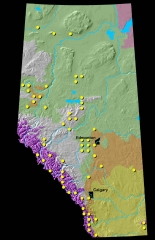 Lodgepole Pine Distribution Map